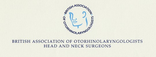 otorhinolaryngologists